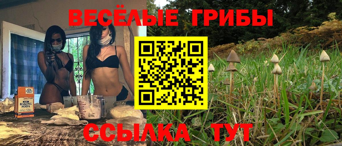 Галлюциногенные грибы мухоморы Омск